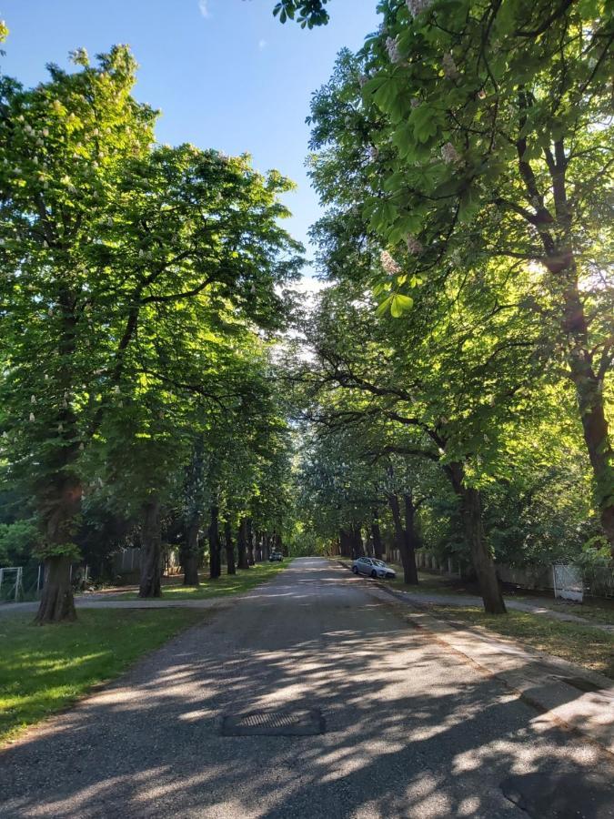 فيلا Balatonszemesi Nyaralohaz المظهر الخارجي الصورة